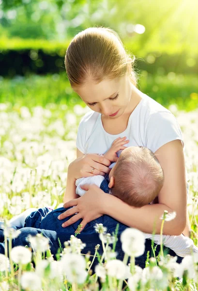 Mãe alimentando seu bebê na natureza prado verde com flor branca — Fotografia de Stock