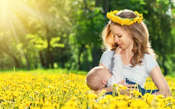 Madre alimentando a su bebé en la naturaleza pradera verde con flujo amarillo — Foto de Stock