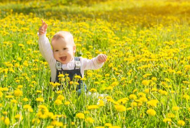sarı çiçek dandelions inci üzerinde yeşil çayır üzerinde bebek kız