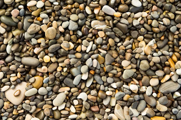 鹅卵石和石块，湿的纹理，背景 — 图库照片