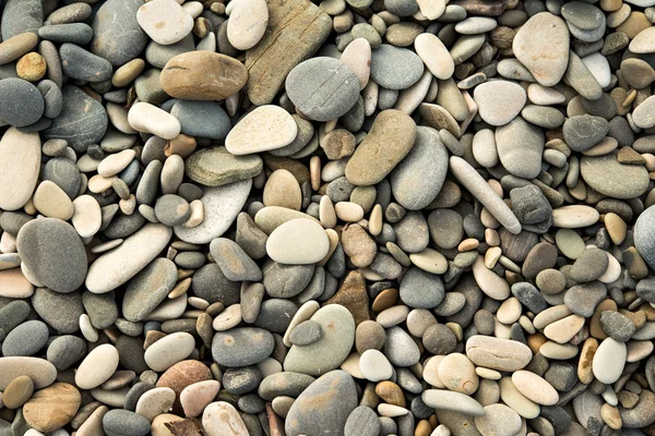 Grus och stenar, våt, textur, bakgrund — Stockfoto