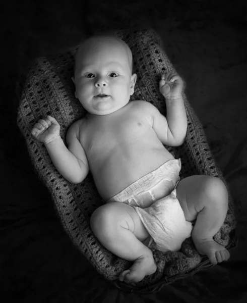 Новорожденный ребенок лежит в корзине в монохромном — стоковое фото