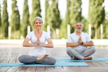Yoga sırasında Lotus pozisyonunda meditasyon yapan mutlu kıdemli karı ve koca.