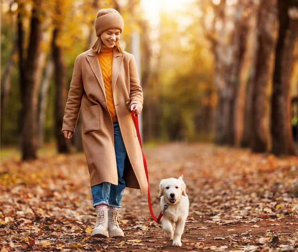 Glad leende kvinna promenader hennes söta golden retriever valp i skogen på vacker höstdag — Stockfoto