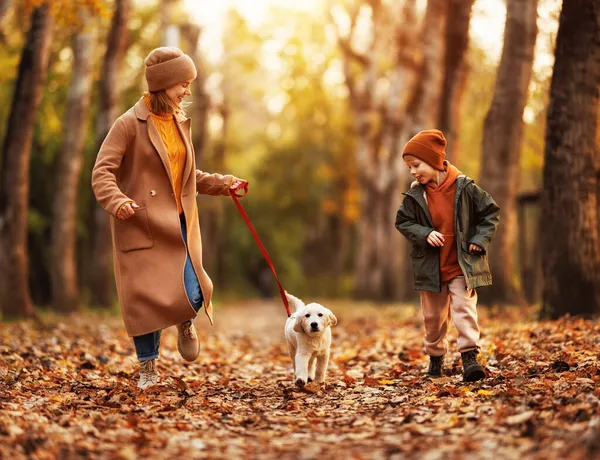 Happy family mother and little boy son walking with golden retriever puppy in park on autumn day, — Stock Photo, Image