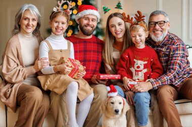 Süslü Xmas ağacının yanındaki koltukta oturan köpek Labrador Retriever 'lı mutlu, büyük bir aile.