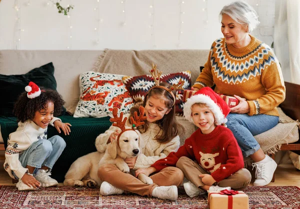 Glückliche multiethnische Familie, Großmutter mit Enkeln und Hund genießen Weihnachten — Stockfoto