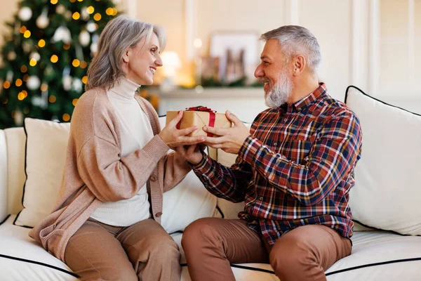 Счастливая старшая европейская пара сидеть вместе на диване возле украшенного дерева дома с рождественской подарочной коробкой — стоковое фото