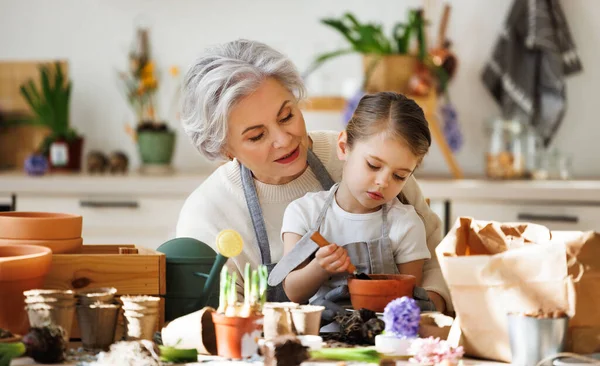 Cheerful Granny Smiling Granddaughter Transplanting Spring Flower Pot While Sitting — Stock Photo, Image