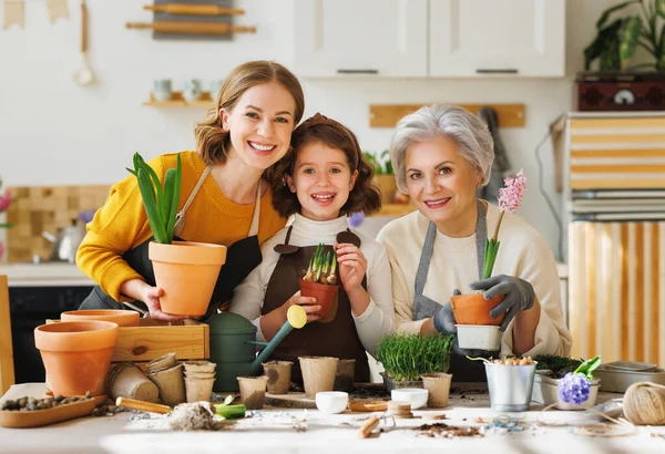Pozitif Büyükanne Anne Evcil Mutfaktaki Masada Toplanırken Saksıdaki Bahar Çiçeklerini — Stok fotoğraf