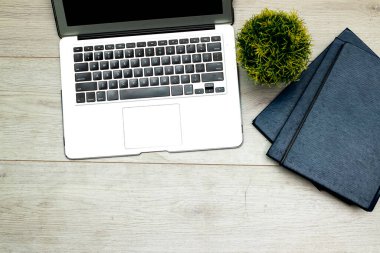 Çalışma alanı: kopyalama alanı, ağaç kabı ve ahşap masadaki kitaplar olan modern dizüstü bilgisayar