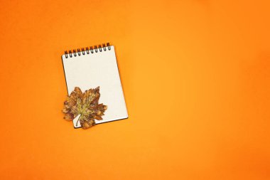 Turuncu arka planda sonbahar izni olan boş bir defter. Kasım kavramı