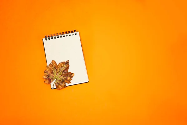 Empty Notebook Autumn Leave Isolated Orange Background November Concept — 图库照片
