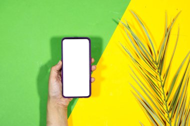 Yakın plan kadın cep telefonu kullanıyor. Palmiye ağacı süslemeli.