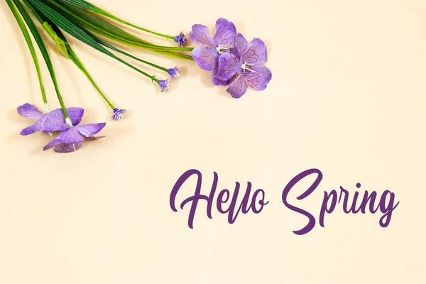 Hello March Typography Text Flowers Isolated Pink Background — ストック写真