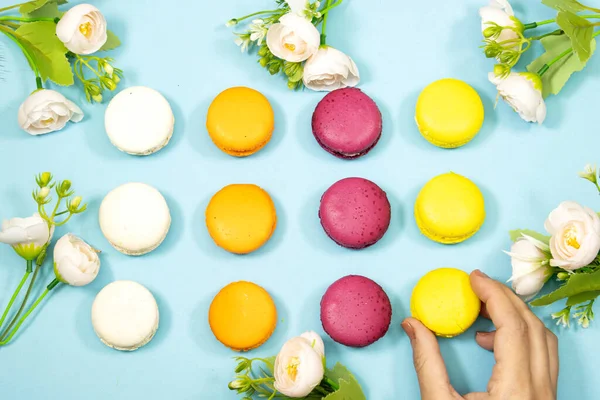 Macaron Français Biscuits Décorés Avec Des Fleurs Isolées Sur Fond — Photo