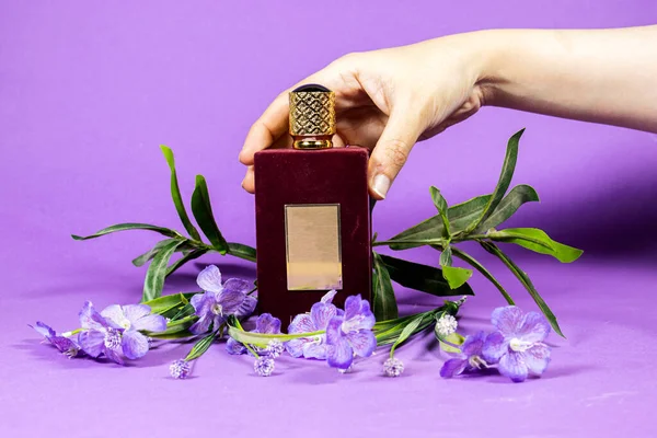 hand woman holding a perfume bottle, flowers isolated on purple background