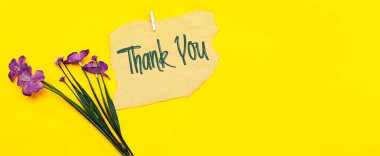 beautiful  purple flowers  with thank you card isolated on yellow background