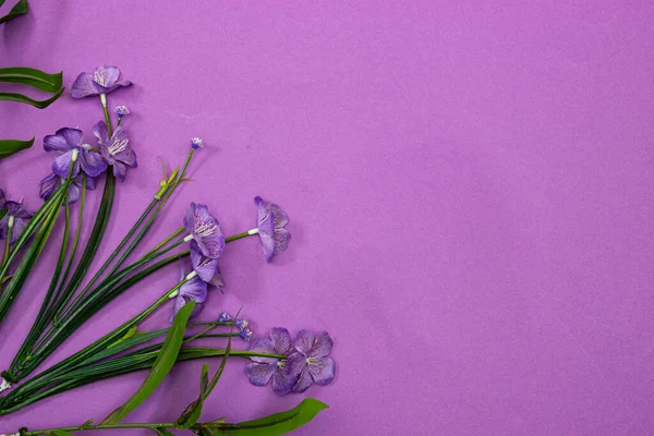 Beautiful composition spring flowers. purple flowers on purple background. Valentine's Day, Easter, Birthday, Happy Women's Day, Mother's Day. Flat lay, top view, copy space