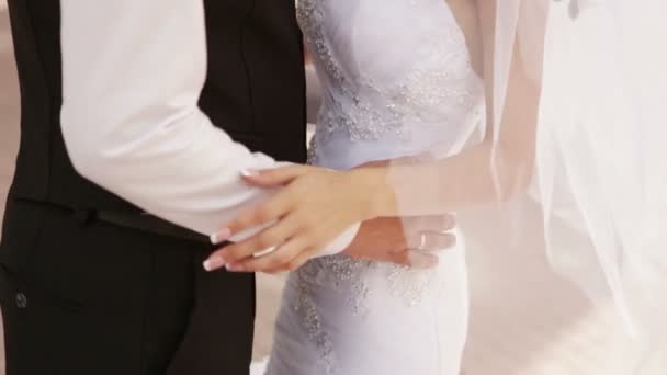 Sposo abbracci sposa — Video Stock