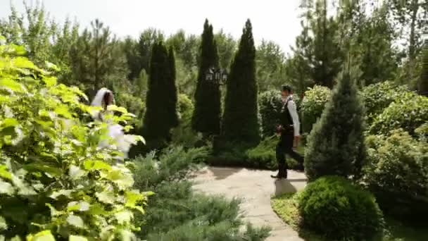 Жених и невеста спешат на встречу — стоковое видео