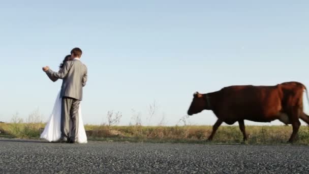 Couple dansant au coucher du soleil — Video