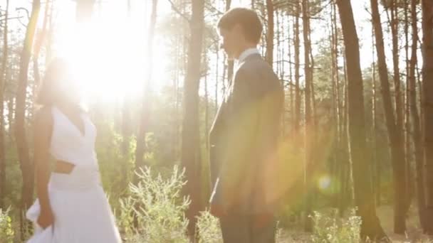 Pareja amorosa al atardecer. — Vídeos de Stock