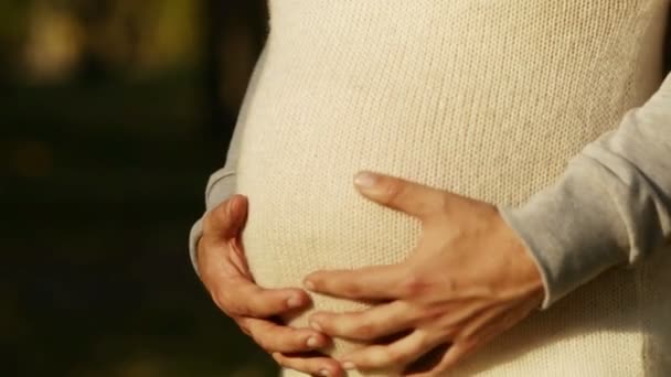 Hands stroking pregnant belly — Stock Video