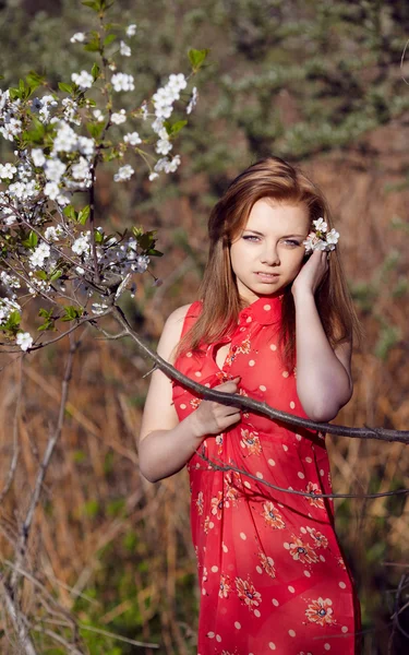 桜の花を持つ少女 — ストック写真