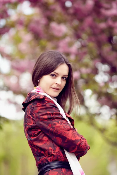 Chica en un fondo de flores de cerezo —  Fotos de Stock