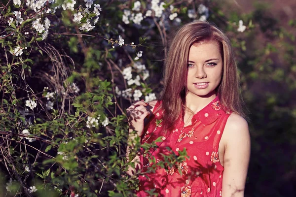 Flicka i blommor av körsbär — Stockfoto