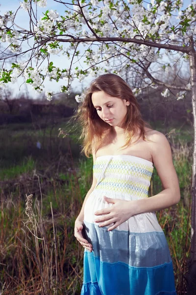 Menina grávida em uma árvore — Fotografia de Stock