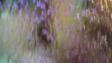 parlak cam su akar tarafından