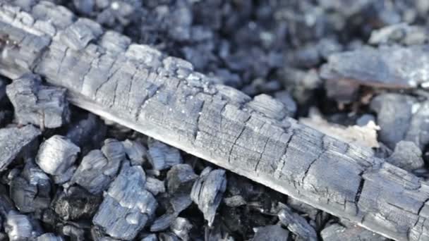 Caméra se déplace vers les pièces carbonisées de l'ancienne maison en bois 