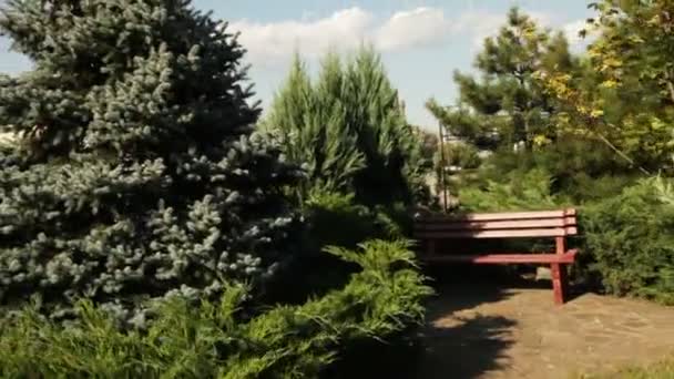 Promenad genom parken till ensamma bänken — Stockvideo