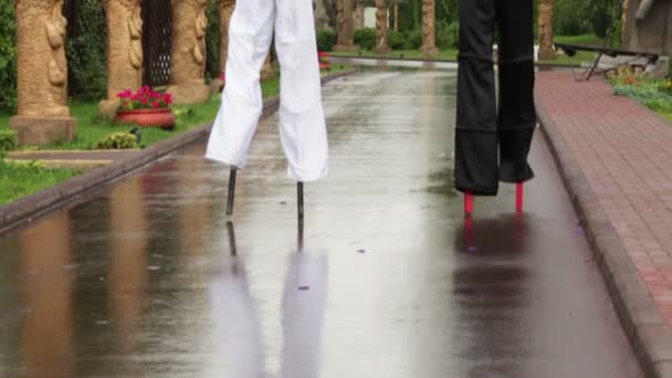 Stilt walkerі — Stock Video