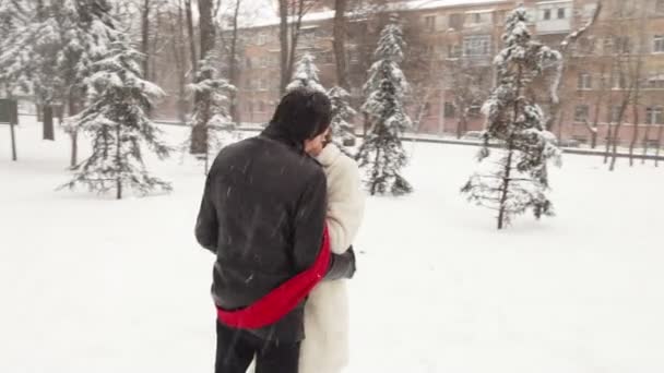 Enredado com um lenço vermelho, um casal se beijando no parque coberto de neve — Vídeo de Stock