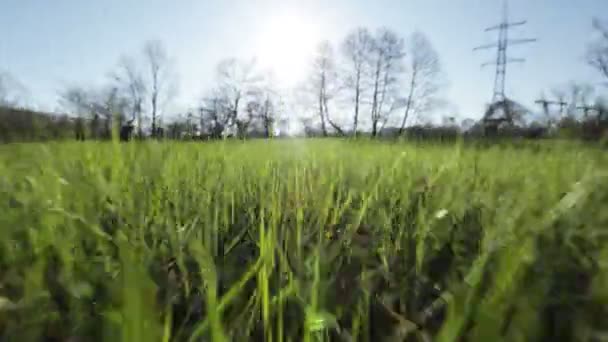 Câmera se move em direção ao sol através da primavera a grama jovem na zona industrial — Vídeo de Stock