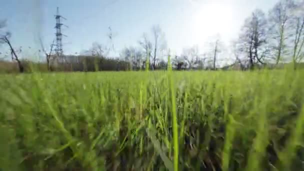 Macchina fotografica si muove verso il sole attraverso la primavera l'erba giovane nella zona industriale — Video Stock