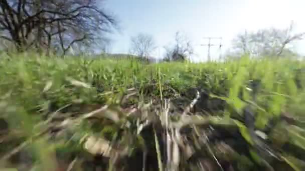 Cámara se mueve a lo largo del camino hacia el sol a través de la primavera la hierba joven en la zona industrial — Vídeo de stock