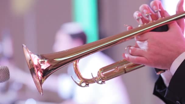 Playing trumpet on the background of a drummer — Stock Video