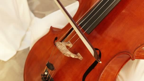 Suonare il violoncello — Video Stock