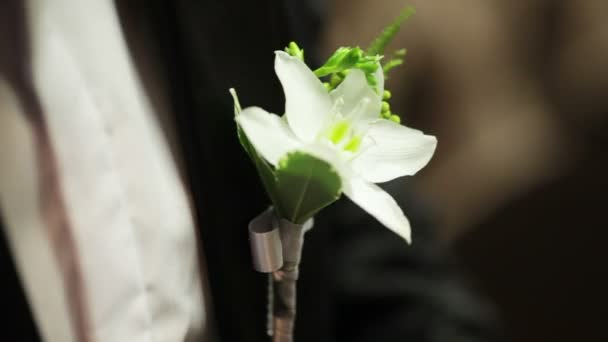 Brudgummen justerar bröllop boutonniere. — Stockvideo