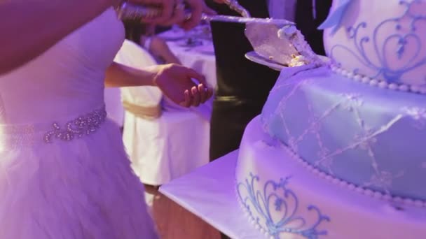 Couple splits light blue wedding cake — Stock Video