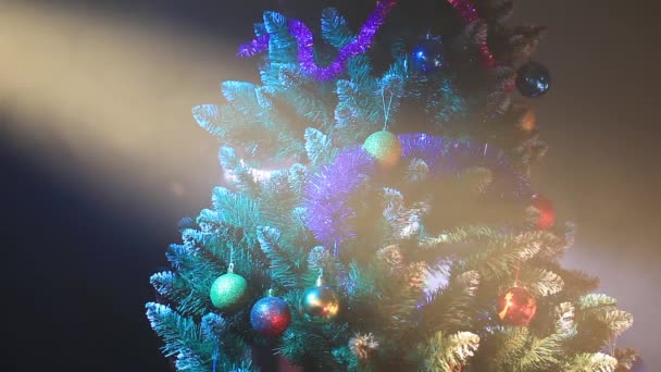 Christmas tree — Stock Video