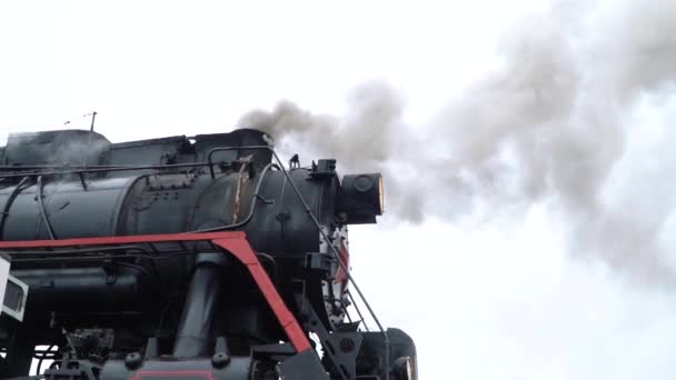 Steam locomotive L-3958 and cars from the Ruskeala Express along the route Sortavala - Ruskeala Mountain Park — Stock Video