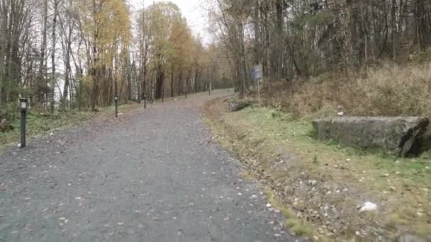 Route des décombres dans le parc et feuilles tombées — Video