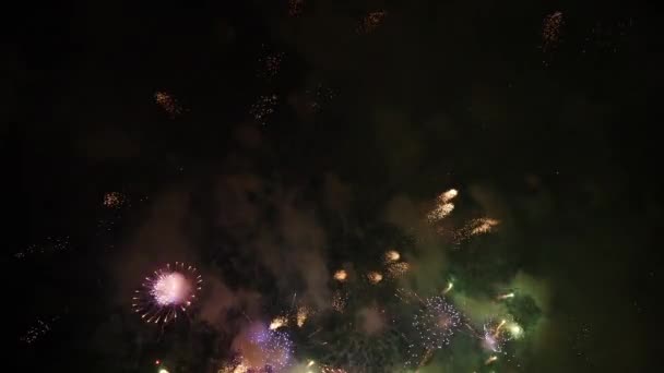 Fuegos artificiales festivos en el cielo nocturno — Vídeo de stock