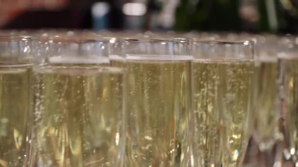 Reihe von Gläsern Champagner am Buffet — Stockvideo