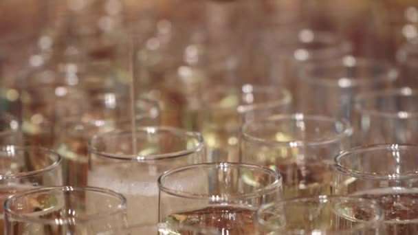 Champagner in Gläser gießen — Stockvideo